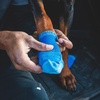 image:imageRuffwear Barkn Boot Dog Socks  4 Count Blue Pool 300 in 325 inBlue Pool