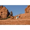 image:imageRuffwear Camp Flyer Dog Toy Flying Disc Red SumacRed Sumac