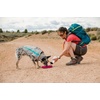 image:imageRuffwear Camp Flyer Dog Toy Flying Disc Red SumacRed Sumac