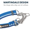 image:imageRuffwear Chain Reaction Martingale Dog Collar Blue Pool 1114Blue Pool