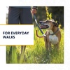 image:imageRuffwear Chain Reaction Martingale Dog Collar Blue Pool 1114River Rock Green