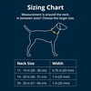 image:imageRuffwear Chain Reaction Martingale Dog Collar Blue Pool 1114River Rock Green