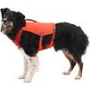 image:imageRuffwear Confluence Life Jacket for Dogs Comfortable and Adjustable Dog Life Vest with Reinforced Handles Leash Connection and Reflective Accents Tangelo Orange MediumTangelo Orange