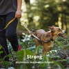 image:imageRuffwear Crag Dog Collar Grassy Oxbow 1420Alpine Dawn