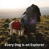 image:imageRuffwear Crag Dog Collar Grassy Oxbow 1420Grassy Oxbow