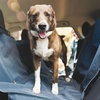 image:imageRuffwear Dirtbag Dog Car Seat Cover Waterproof Basalt GrayBasalt Gray