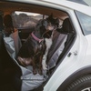 image:imageRuffwear Dirtbag Dog Car Seat Cover Waterproof Basalt GrayBasalt Gray