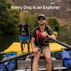 image:imageRuffwear Float Coat Dog Life Jacket Premium Buoyancy Swim Vest with Lift Handle Secure Fit amp Reflective Trim Adjustable Flotation for Swimming Boating amp Outdoor Adventures Purple Lily MediumWave Orange