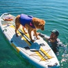 image:imageRuffwear Float Coat Dog Life Jacket Premium Buoyancy Swim Vest with Lift Handle Secure Fit amp Reflective Trim Adjustable Flotation for Swimming Boating amp Outdoor Adventures Purple Lily MediumPurple Lily