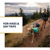 image:imageRuffwear Front Range Day Pack River Rock Green MediumAurora Teal
