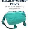 image:imageRuffwear Front Range Day Pack River Rock Green MediumAurora Teal