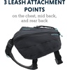 image:imageRuffwear Front Range Day Pack River Rock Green MediumBasalt Gray