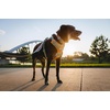 image:imageRuffwear Front Range Dog Collar Basalt Gray 1420Basalt Gray