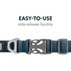 image:imageRuffwear Front Range Dog Collar Basalt Gray 1420Blue Moon