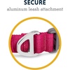 image:imageRuffwear Front Range Dog Collar Basalt Gray 1420Hibiscus Pink