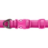 image:imageRuffwear Front Range Dog Collar Basalt Gray 1420Pink Rose