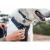 image:imageRuffwear Front Range Dog Collar Basalt Gray 1420Red Canyon
