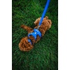 image:imageRuffwear Front Range Dog Collar Basalt Gray 1420Red Canyon