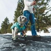 image:imageRuffwear Front Range Dog Collar Basalt Gray 1420Sweeping Sage