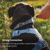 image:imageRuffwear Front Range Flex Dog Collar Rose Violet 1420Deep Teal
