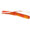 image:imageRuffwear GnawtaStick Durable Floating Dog Toy Salamander OrangeRed Sumac