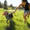 image:imageRuffwear Gourdo Dog Toy with Rope Handle Sage Green LargeSockeye Red