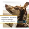 image:imageRuffwear Hi amp Light Dog Collar LowProfile Basalt Gray 1114Alpenglow Pink