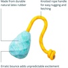 image:imageRuffwear HuckaCone Tug amp Throw Dog Toy Salamander OrangeGlacial Blue