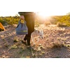 image:imageRuffwear Kibble Kaddie Dog Food Travel Bag Basalt GrayBasalt Gray