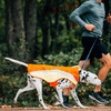 image:imageRuffwear Lumenglow HighVis Dog Vest Reflective Jacket with WaterRepellent Shell HarnessCompatible Leash Portal SideRelease Buckles Back Light Attachment LoopBlaze Orange 1