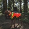 image:imageRuffwear Lumenglow HighVis Dog Vest Reflective Jacket with WaterRepellent Shell HarnessCompatible Leash Portal SideRelease Buckles Back Light Attachment LoopBlaze Orange