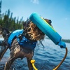 image:imageRuffwear Lunker Throw Toy for Dogs Biolumin Blue MediumTangelo Orange