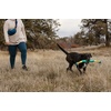 image:imageRuffwear Pacific Loop Dog Toy Interactive Tug Toy Sockeye RedAurora Teal