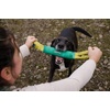 image:imageRuffwear Pacific Loop Dog Toy Interactive Tug Toy Sockeye RedAurora Teal