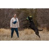 image:imageRuffwear Pacific Loop Dog Toy Interactive Tug Toy Sockeye RedAurora Teal