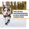 image:imageRuffwear Polar Trex Dog Boots  2 Count Obsidian Black 225150 in 2 Boots