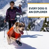 image:imageRuffwear Powder Hound Insulated Jacket Blue Pool MediumPersimmon Orange