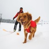 image:imageRuffwear Powder Hound Waterproof Insulated Vest Polar Blue MediumPolar Blue