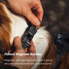 image:imageRuffwear Ridgeline Dog Collar Magnetic Buckle Obsidian Black 14201114