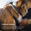 image:imageRuffwear Ridgeline Dog Collar Magnetic Buckle Obsidian Black 14201420
