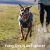 image:imageRuffwear Stumptown Quilted Dog Jacket Insulated WaterResistant Winter Coat with Reflective Trim amp Leash Portal Easy OnOff Buckles Durable ColdWeather Layer River Rock Green MediumRiver Rock Green