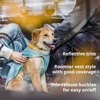 image:imageRuffwear Stumptown Quilted Dog Jacket Insulated WaterResistant Winter Coat with Reflective Trim amp Leash Portal Easy OnOff Buckles Durable ColdWeather Layer River Rock Green MediumOrion Blue
