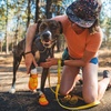 image:imageRuffwear Summit Trex Dog Shoes  2 Count Sunrise Yellow 200Sunrise Yellow
