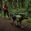 image:imageRuffwear Sun Shower Dog Raincoat Coverall Midnight Blue MediumMidnight Blue