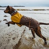 image:imageRuffwear Sun Shower Dog Raincoat Midnight Blue MediumEarth Brown