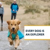 image:imageRuffwear Sun Shower Dog Raincoat Midnight Blue MediumMineral Yellow
