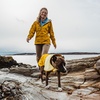 image:imageRuffwear Sun Shower Dog Raincoat Midnight Blue MediumMineral Yellow