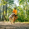 image:imageRuffwear Swamp Cooler Dog Vest Biolumin Blue MediumBiolumin Blue