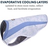 image:imageRuffwear Swamp Cooler Dog Vest Biolumin Blue MediumHeliotrope Purple