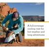 image:imageRuffwear Swamp Cooler Dog Vest Biolumin Blue MediumSage Green